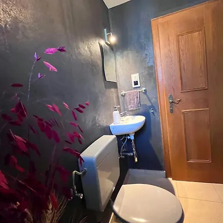 Apartment Lene's Flat Kitzbuhel